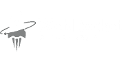 WebRocketLogo3